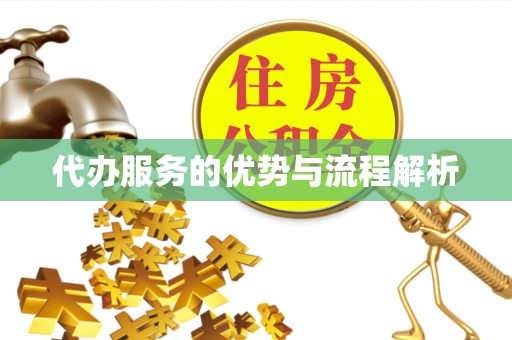 游仙代办服务的优势与流程解析