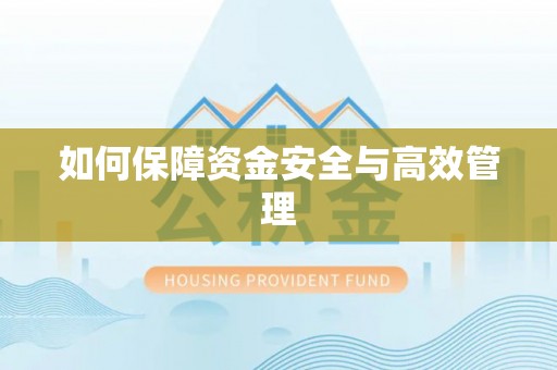 游仙如何保障资金安全与高效管理