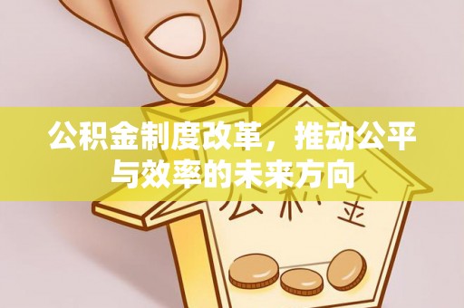 游仙公积金制度改革，推动公平与效率的未来方向