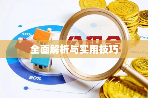 游仙全面解析与实用技巧