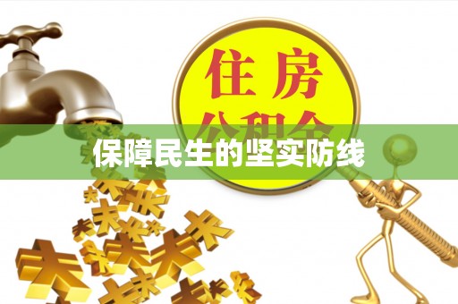 游仙保障民生的坚实防线