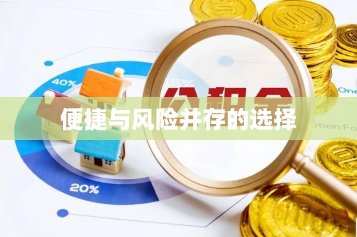 游仙便捷与风险并存的选择