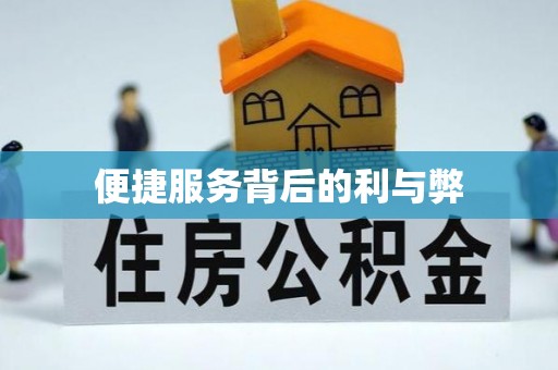 游仙便捷服务背后的利与弊